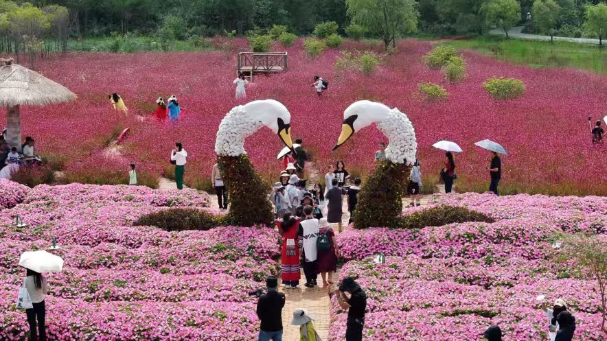 Ê×Ò³| ·Ç·²¹ú¼Ê2121ÌåÓý¹Ù·½ÍøÕ¾