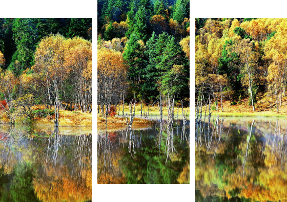 ��ҳ| �Ƿ�����2121�����ٷ���վ