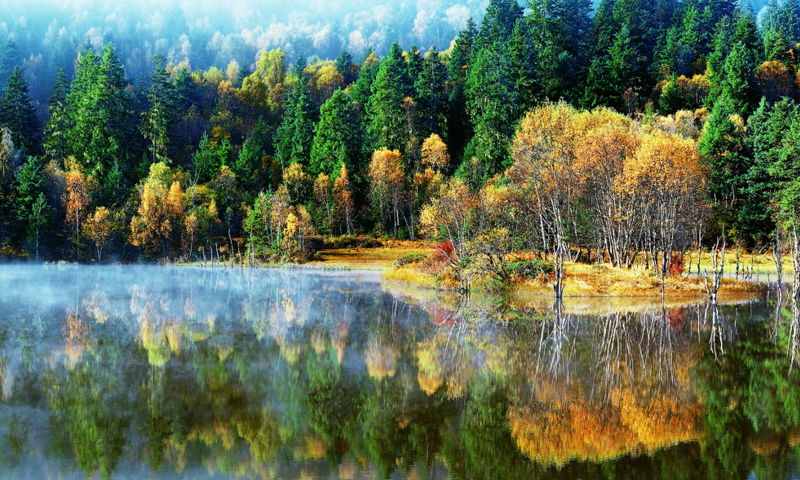 ��ҳ| �Ƿ�����2121�����ٷ���վ