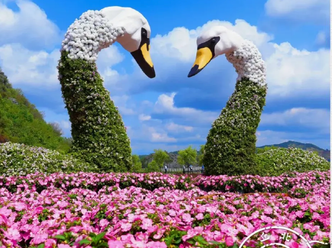 ��ҳ| �Ƿ�����2121�����ٷ���վ